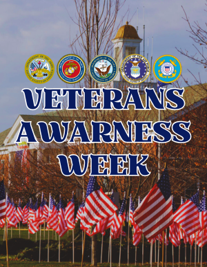 Veterans Awareness Week 