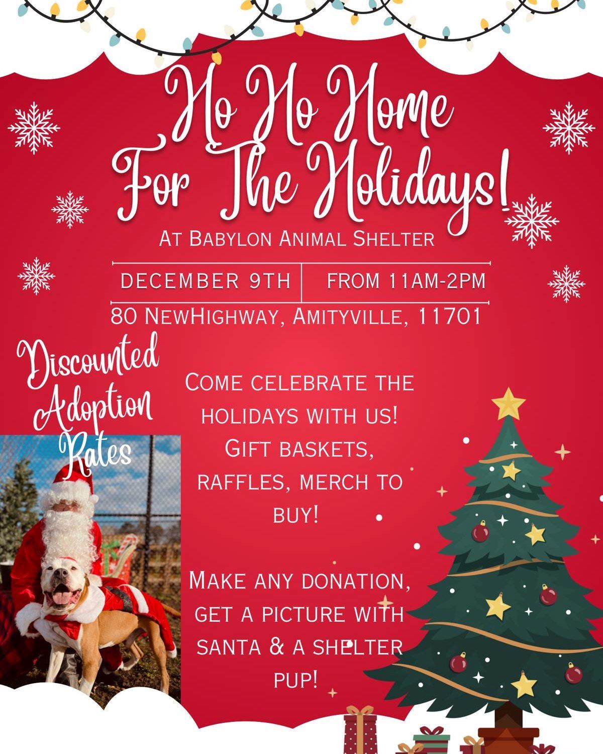 Animal Shelter Home For the Holidays