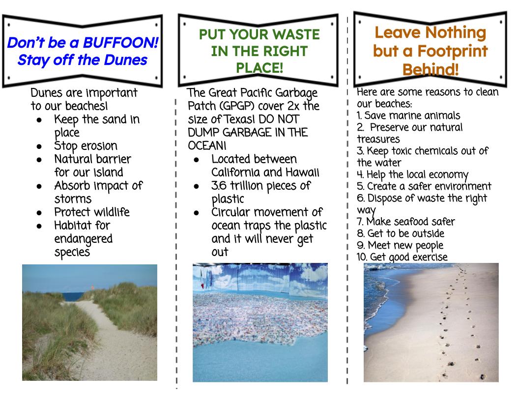 Bronze beach brochure (1)