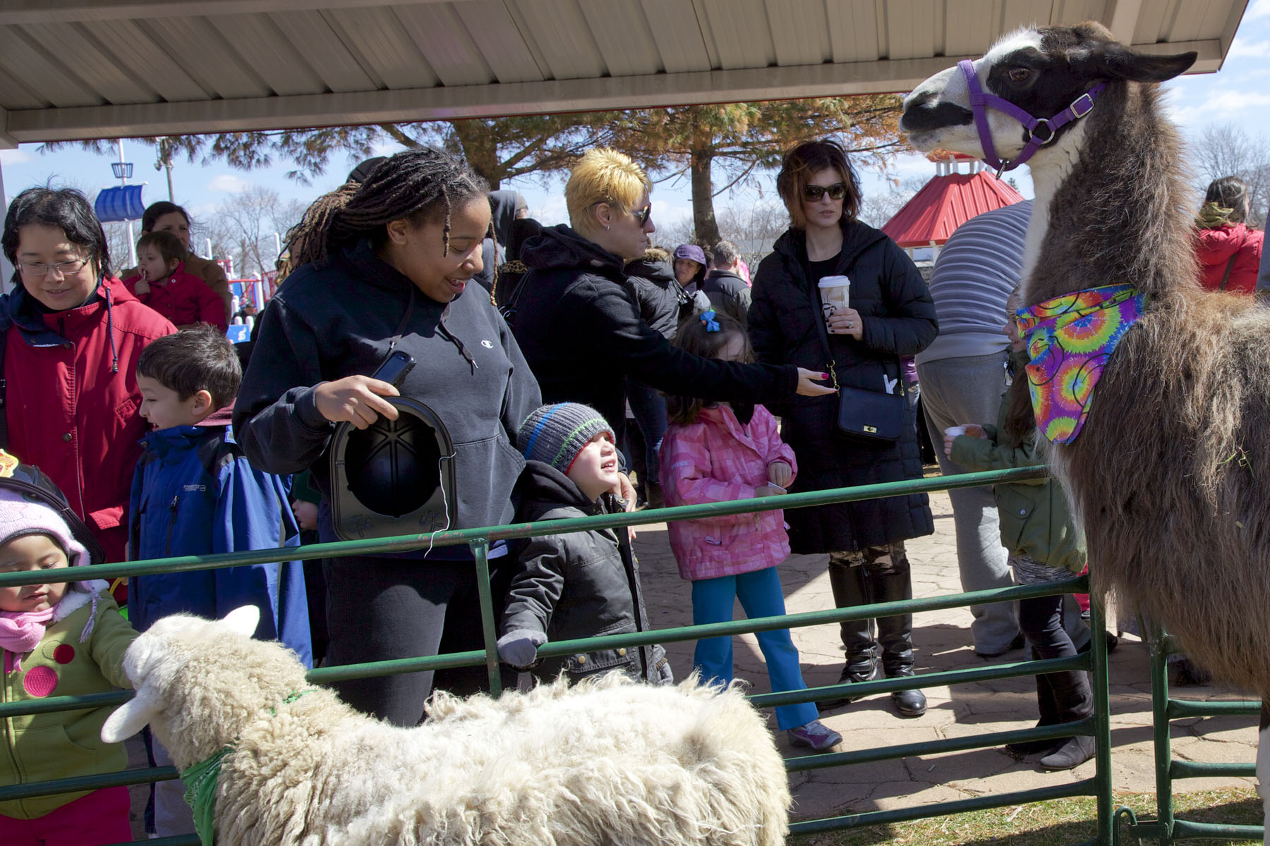 Eggstravaganza 2013 3